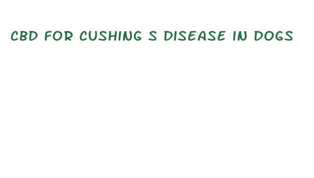 cbd for cushing s disease in dogs