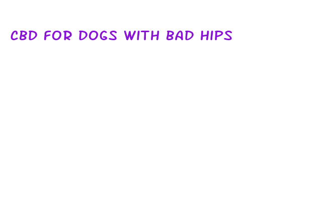 cbd for dogs with bad hips