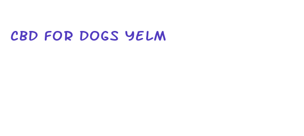 cbd for dogs yelm