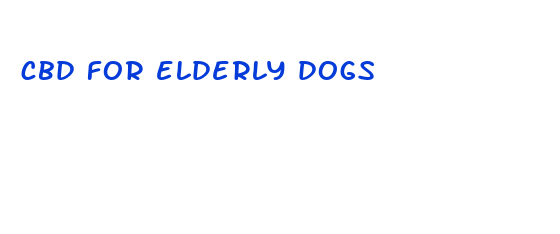 cbd for elderly dogs