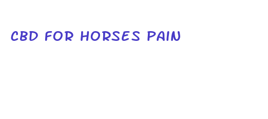 cbd for horses pain