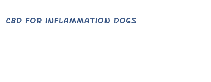 cbd for inflammation dogs