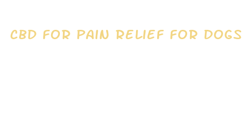 cbd for pain relief for dogs