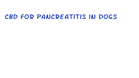 cbd for pancreatitis in dogs