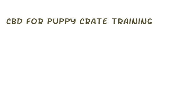 cbd for puppy crate training