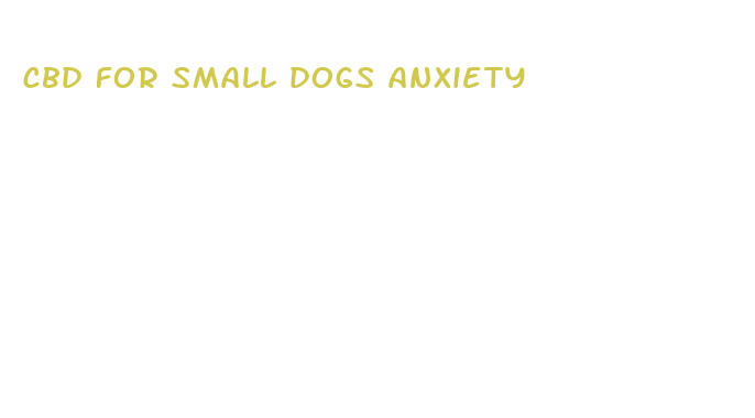 cbd for small dogs anxiety