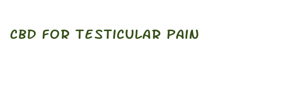 cbd for testicular pain