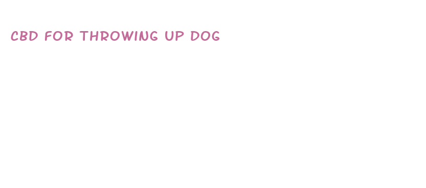 cbd for throwing up dog