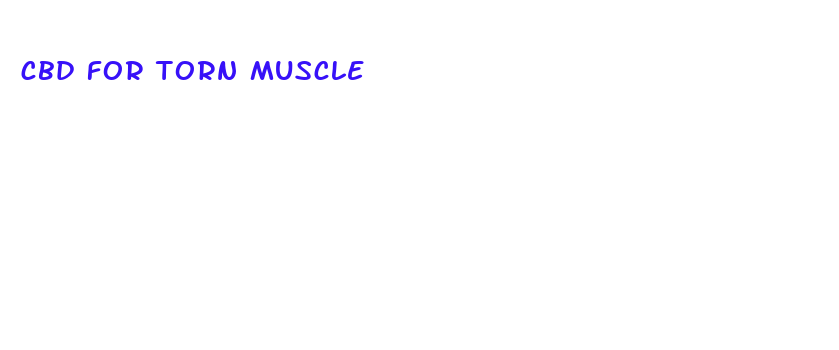 cbd for torn muscle