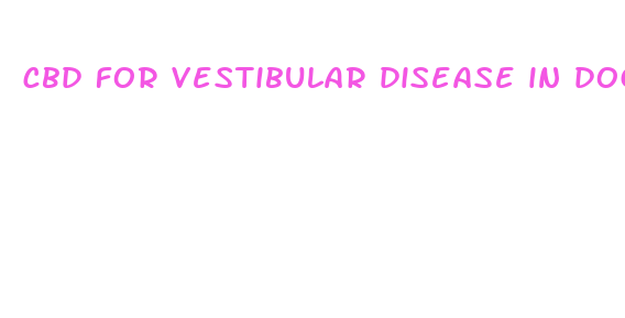 cbd for vestibular disease in dog