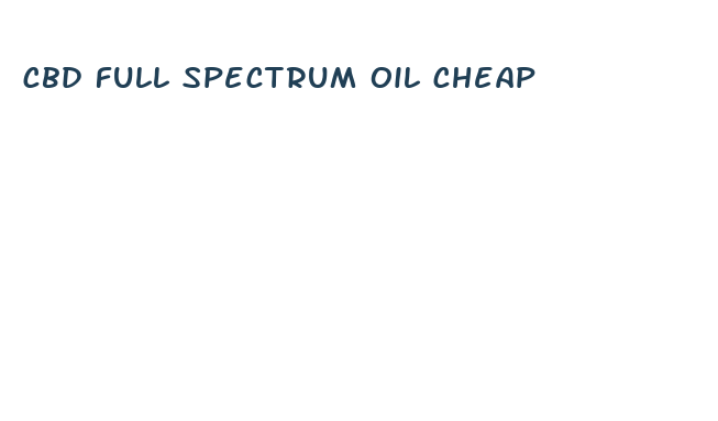 cbd full spectrum oil cheap