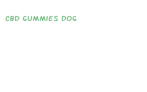 cbd gummies dog