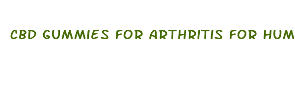 cbd gummies for arthritis for humans