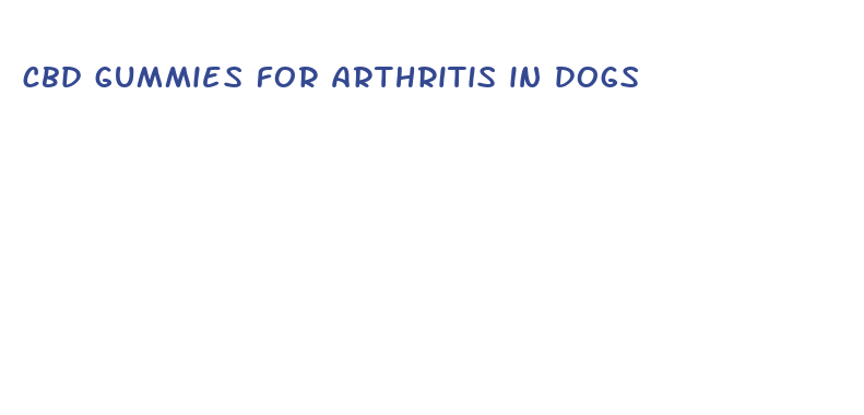 cbd gummies for arthritis in dogs