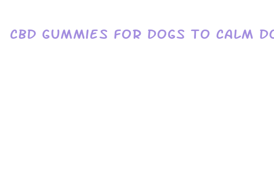 cbd gummies for dogs to calm down nearby