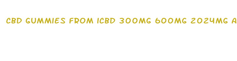 cbd gummies from icbd 300mg 600mg 2024mg and 2024mg