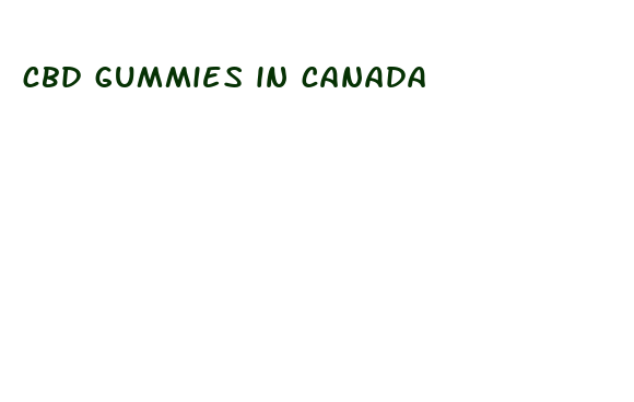 cbd gummies in canada