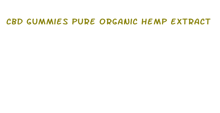 cbd gummies pure organic hemp extract