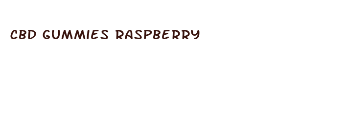 cbd gummies raspberry