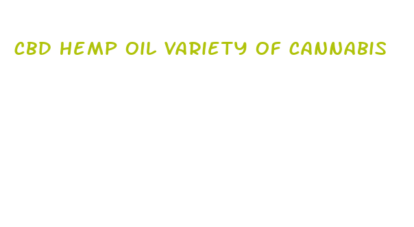 cbd hemp oil variety of cannabis