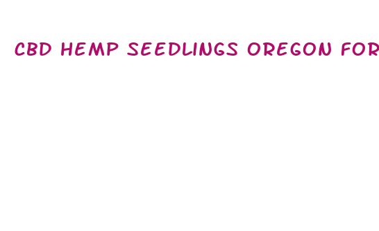 cbd hemp seedlings oregon for sale