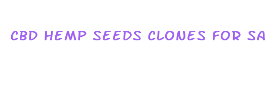 cbd hemp seeds clones for sale