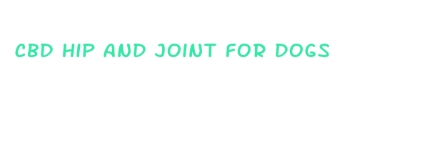 cbd hip and joint for dogs