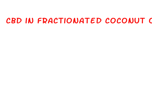 cbd in fractionated coconut oil