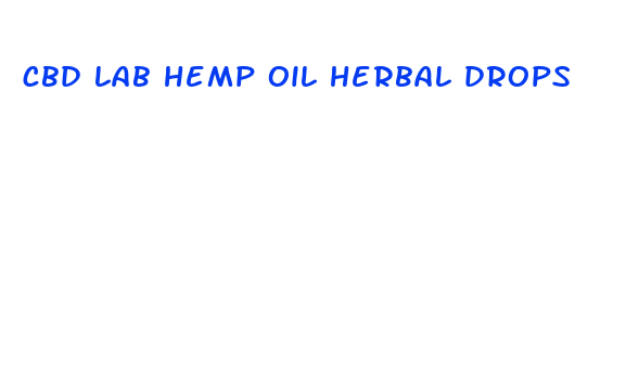 cbd lab hemp oil herbal drops