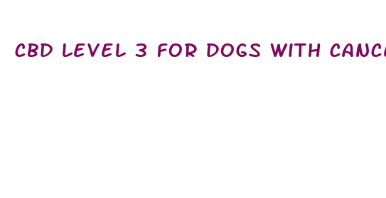 cbd level 3 for dogs with cancer