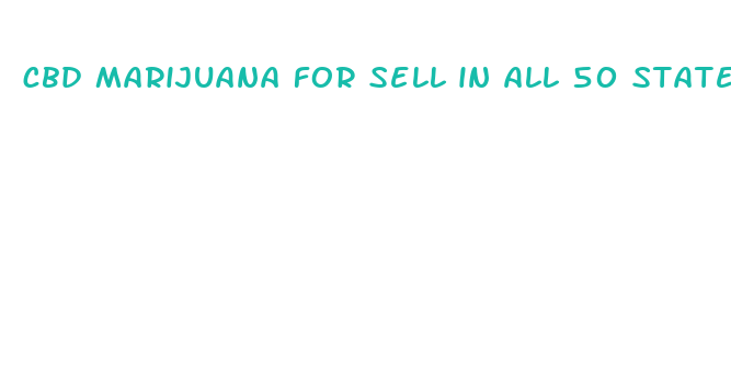 cbd marijuana for sell in all 50 states