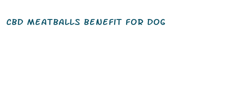 cbd meatballs benefit for dog