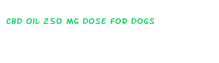 cbd oil 250 mg dose for dogs