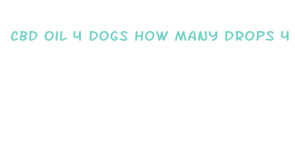 cbd oil 4 dogs how many drops 4 dogs