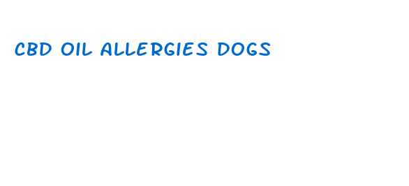 cbd oil allergies dogs