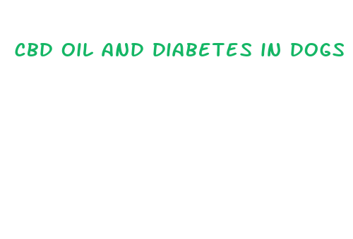 cbd oil and diabetes in dogs