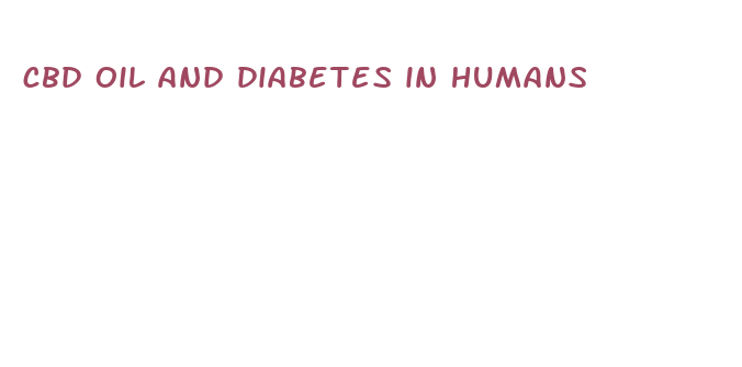 cbd oil and diabetes in humans