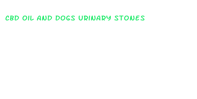 cbd oil and dogs urinary stones