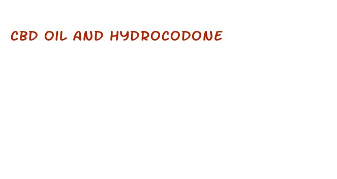 cbd oil and hydrocodone