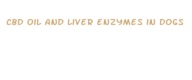 cbd oil and liver enzymes in dogs