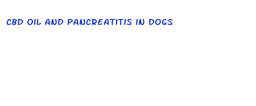 cbd oil and pancreatitis in dogs