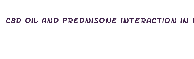 cbd oil and prednisone interaction in dogs