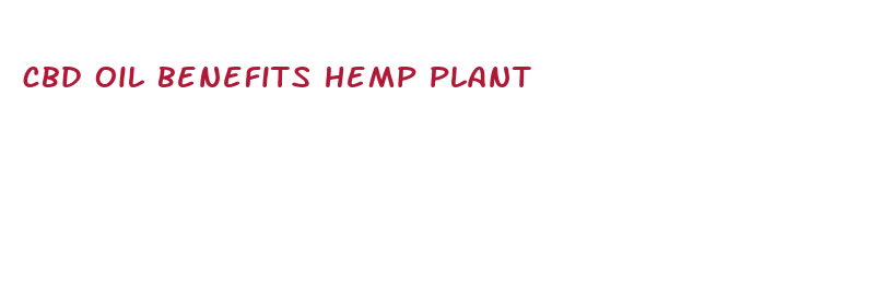 cbd oil benefits hemp plant