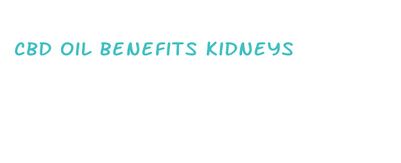 cbd oil benefits kidneys