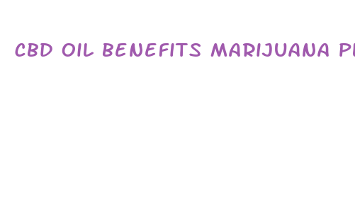 cbd oil benefits marijuana plant