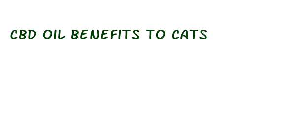 cbd oil benefits to cats