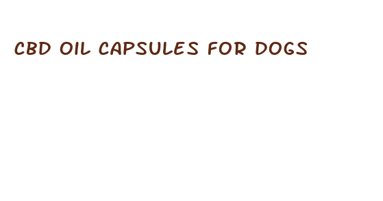 cbd oil capsules for dogs