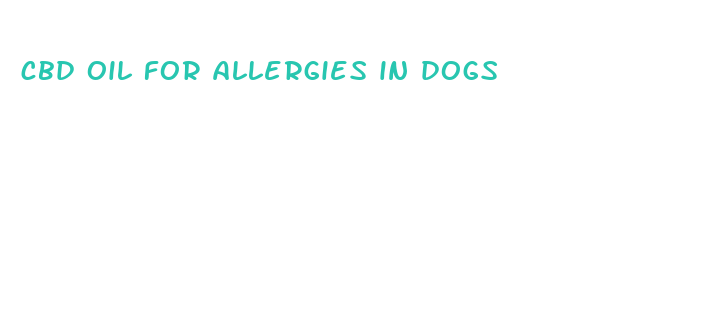 cbd oil for allergies in dogs