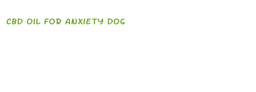 cbd oil for anxiety dog