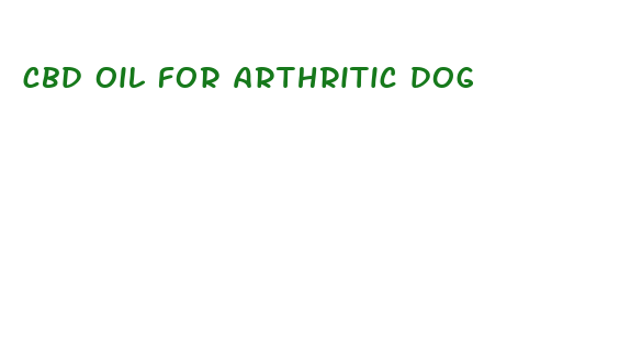 cbd oil for arthritic dog